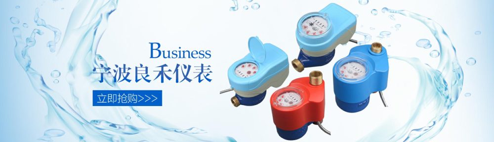 宁波良禾仪表有限公司
